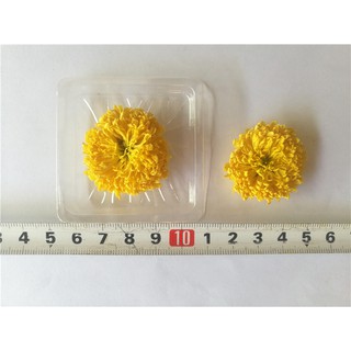 Trà hoa cúc hàm hương LOẠI TO VÀ RẤT TO 100g ( cúc núi)