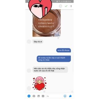 COMBO SCOBY KOMBUCHA+10 BAO LÌ XÌ 2025