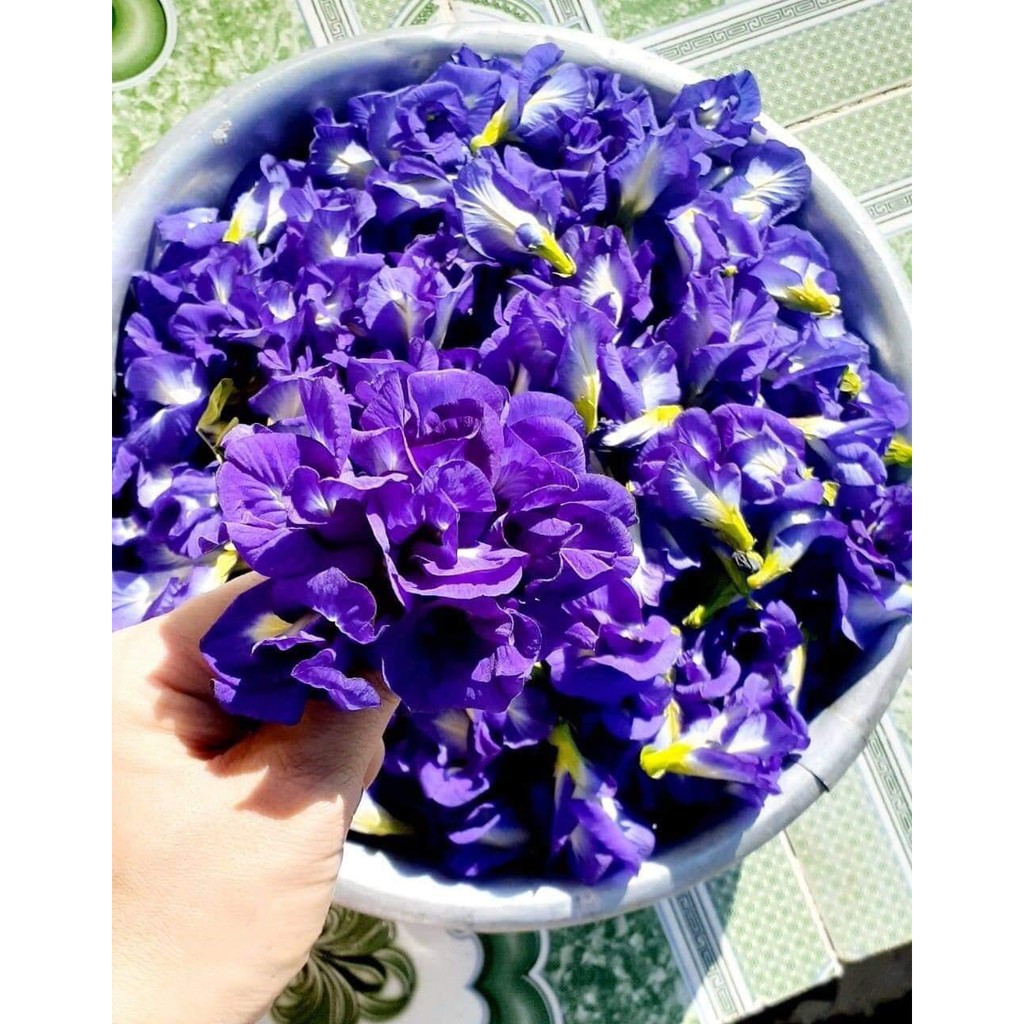 Hoa đậu biếc sấy khô 100gr, làm thức uống detox, làm màu xôi, thanh nhiệt giải độc, hỗ trợ giảm cân