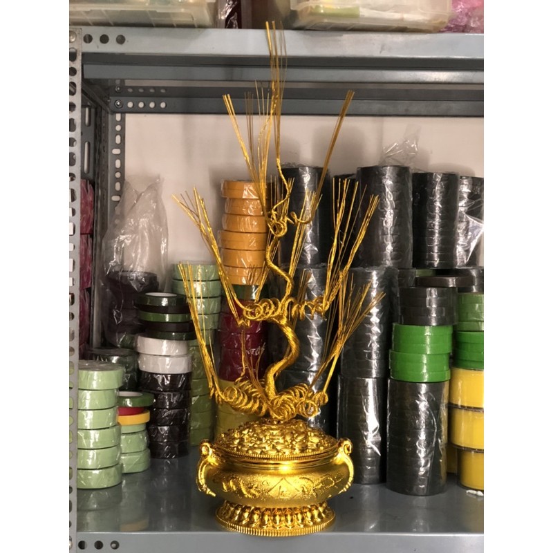 Gốc cây thỏi vàng cao 55cm