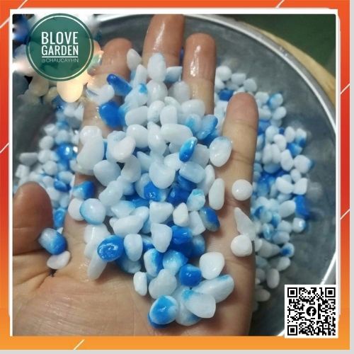 200g Sỏi XANH  0.9 - 1cm trang trí sân vườn, trang trí thác áp tường hoặc ốp thành hồ hòn non bộ, bể cá, terarium