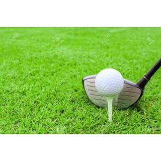 tee dùng đánh Golf 😍👉 Tee Golf Các Loại