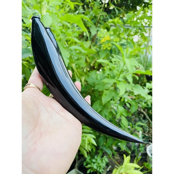 Ná sừng chạc 4-4,5
