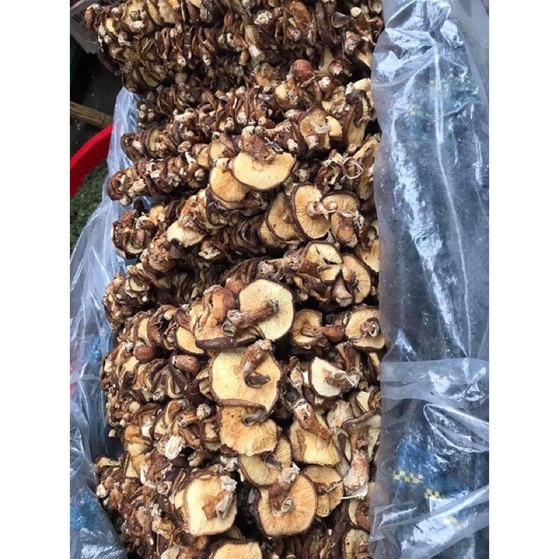 Nấm hương rừng khô Tây Bắc hàng loại 1, nấm hương rừng Sapa xiên que phơi khô tự nhiên thơm ngon túi 100gr