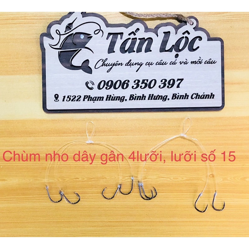 CHÙM NHO CÂU CÁ BUỘC SẴN