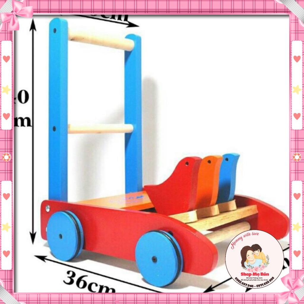 Xe tập đi 3 con chim