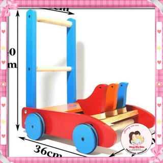 Xe tập đi 3 con chim