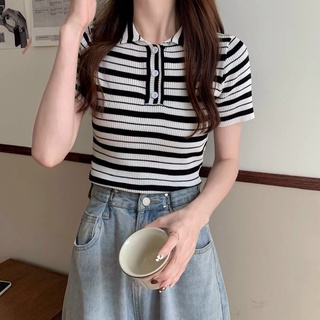 🌸🎉 Áo PoLo Len Dệt 🎉🌸