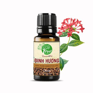 Tinh Dầu Đinh Hương OYe Làm nước súc miệng Chăm sóc răng miệng
