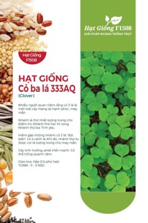 Hạt Giống Cỏ Ba Lá (Cỏ May Mắn)