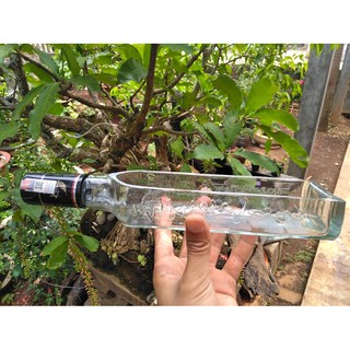Chậu thủy tinh làm từ chai, made hand (mỗi chậu là độc nhất)