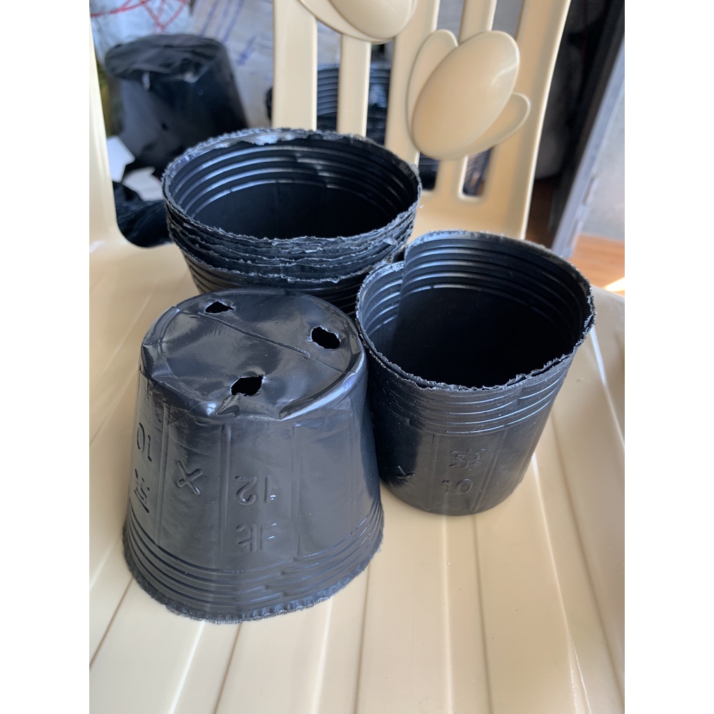 BẦU ƯƠM CÂY 12*10 ( DỊCH TRUYỀN CHO CÂY, KÍCH RỄ , MẦM CÂY XANH LÁ, LƯỚI CHE NẮNG...)