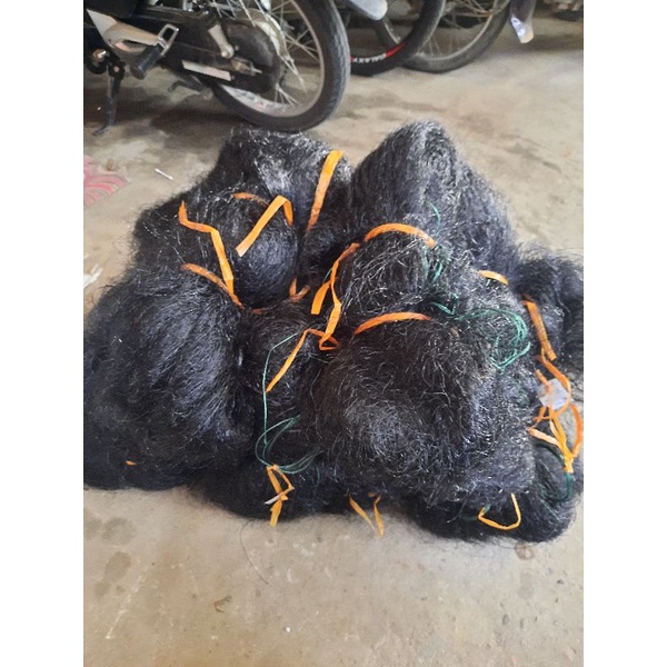Lưới đánh Vạc , sâm 100m