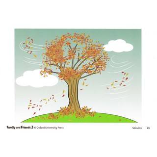 Flashcard family and friend 3
