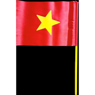 [HOT]Cờ vẫy cầm tay lá cờ Việt Nam vải phi bóng cán nhựa