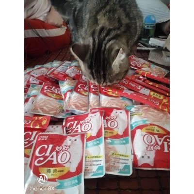Pate CIAO Gói Nhuyễn 60gr Cua,Sò,Gà,Cá Hồi,Cá Cơm Mix Vị Tổng Hợp.