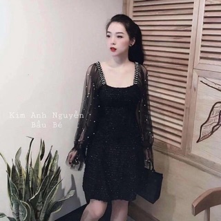 Đầm dạ đính ngoc dự tiệc