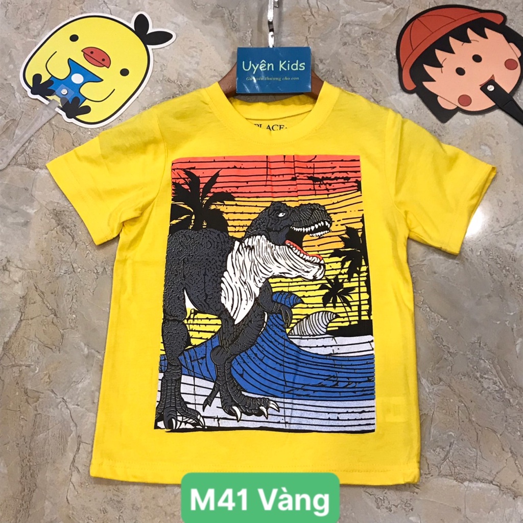 Áo bé trai Place 4-14 tuổi in hình nhiều mẫu (new)