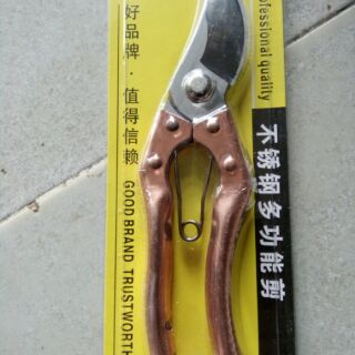 Kéo cắt cành guangfa vảy cá