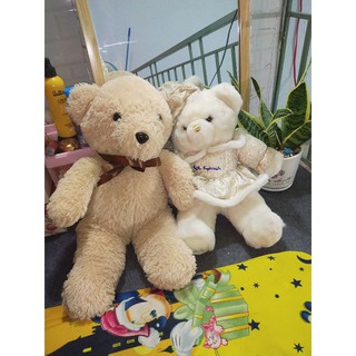 Gấu  Bông của  Thư