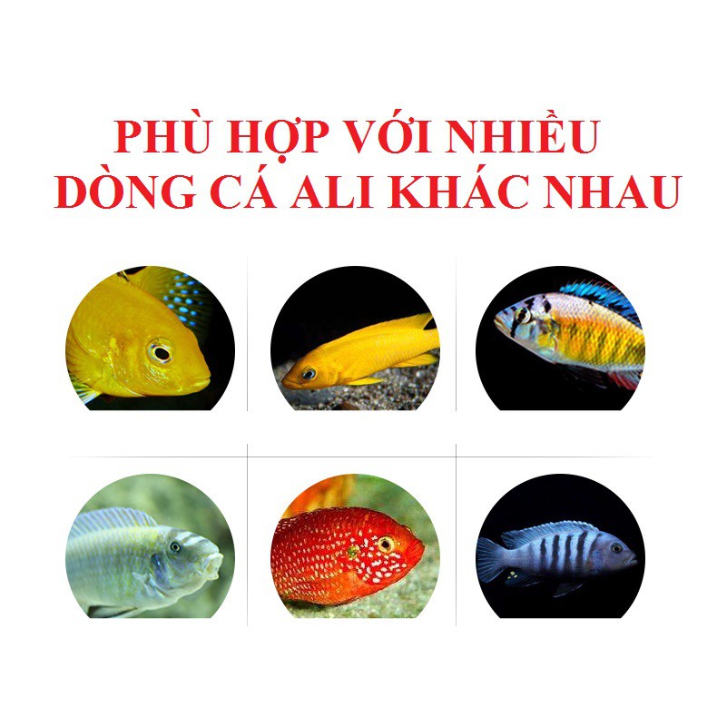 Thức ăn cá ali cao cấp BIOZYM- Cám chuyên dụng cho cá ali - thức ăn các dòng cá Cichlids