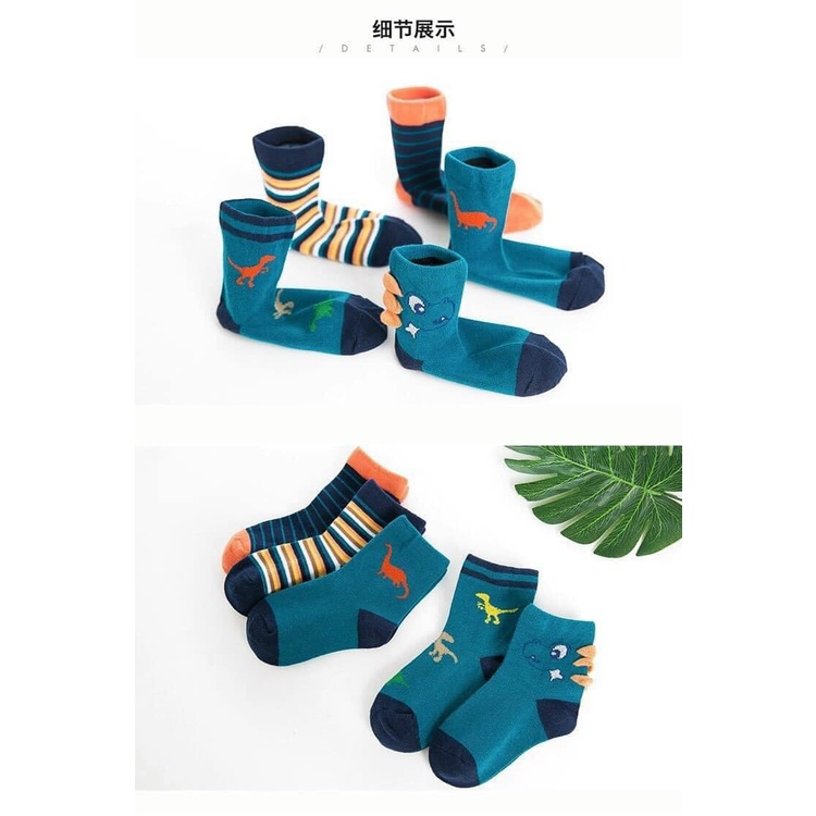 Combo 05 đôi tất trẻ em họa tiết khủng long