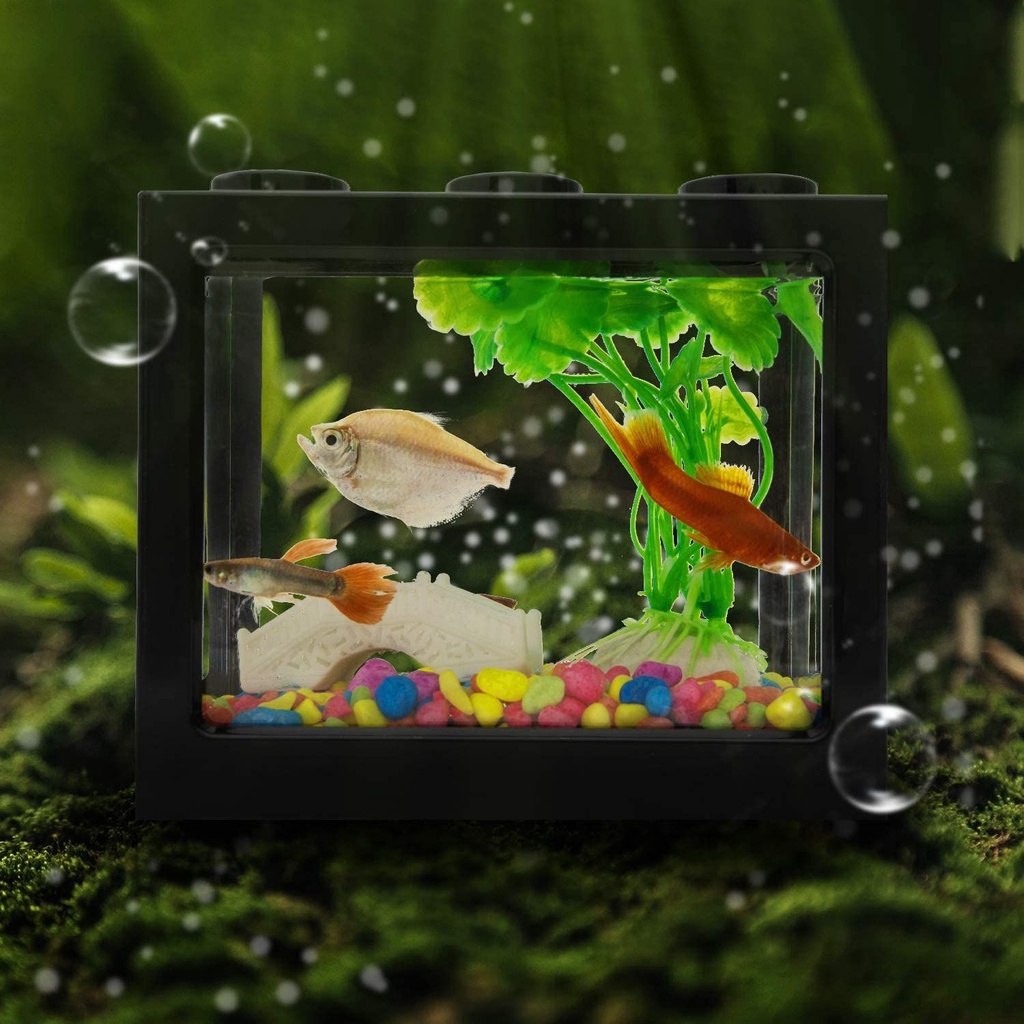 Bể cá Betta Mini bằng PVC có đèn LED nhiều màu sắc