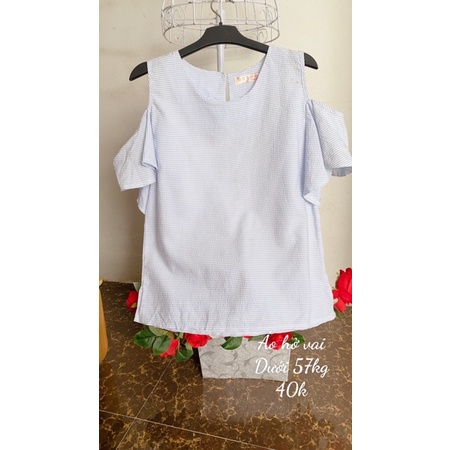 Áo vin màu kiểu