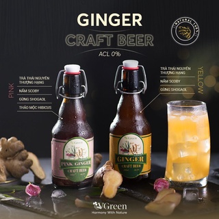 Bia Gừng không cồn - Ginger Kombucha Tea - Chai thủy tinh 330ml