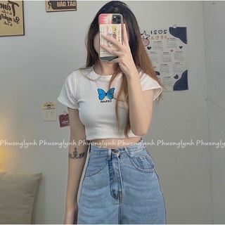 Áo croptop bướm siêu xinh