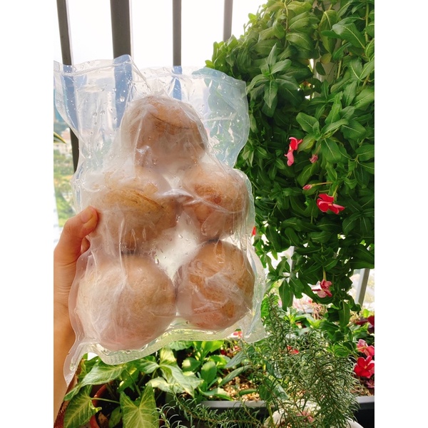 Rau câu trái dừa