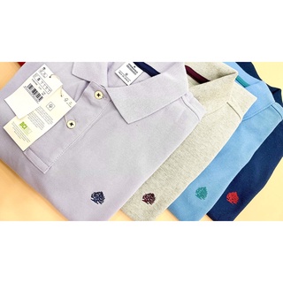 Áo polo Springfield nhiều màu ( Bố )