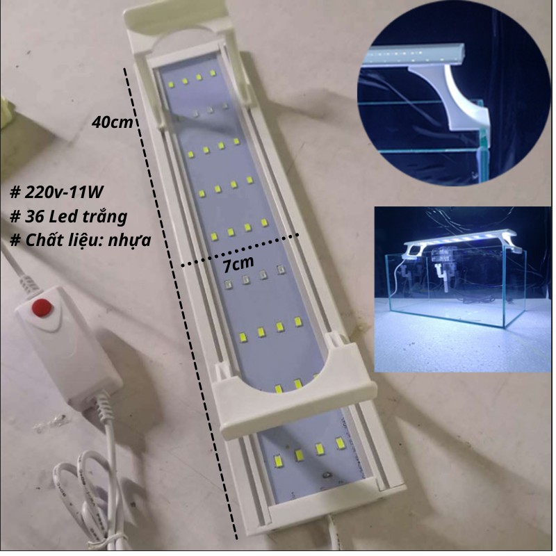 Bể cá mini COMBO ĐẦY ĐỦ LOẠI LỚN, bể cá để bàn dùng nuôi kiểng hoặc thủy sinh