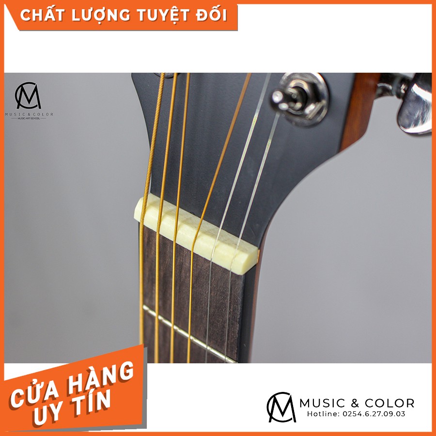 Guitar ROSEN G15 chính hãng - Nhạc cụ MUSIC&COLOR