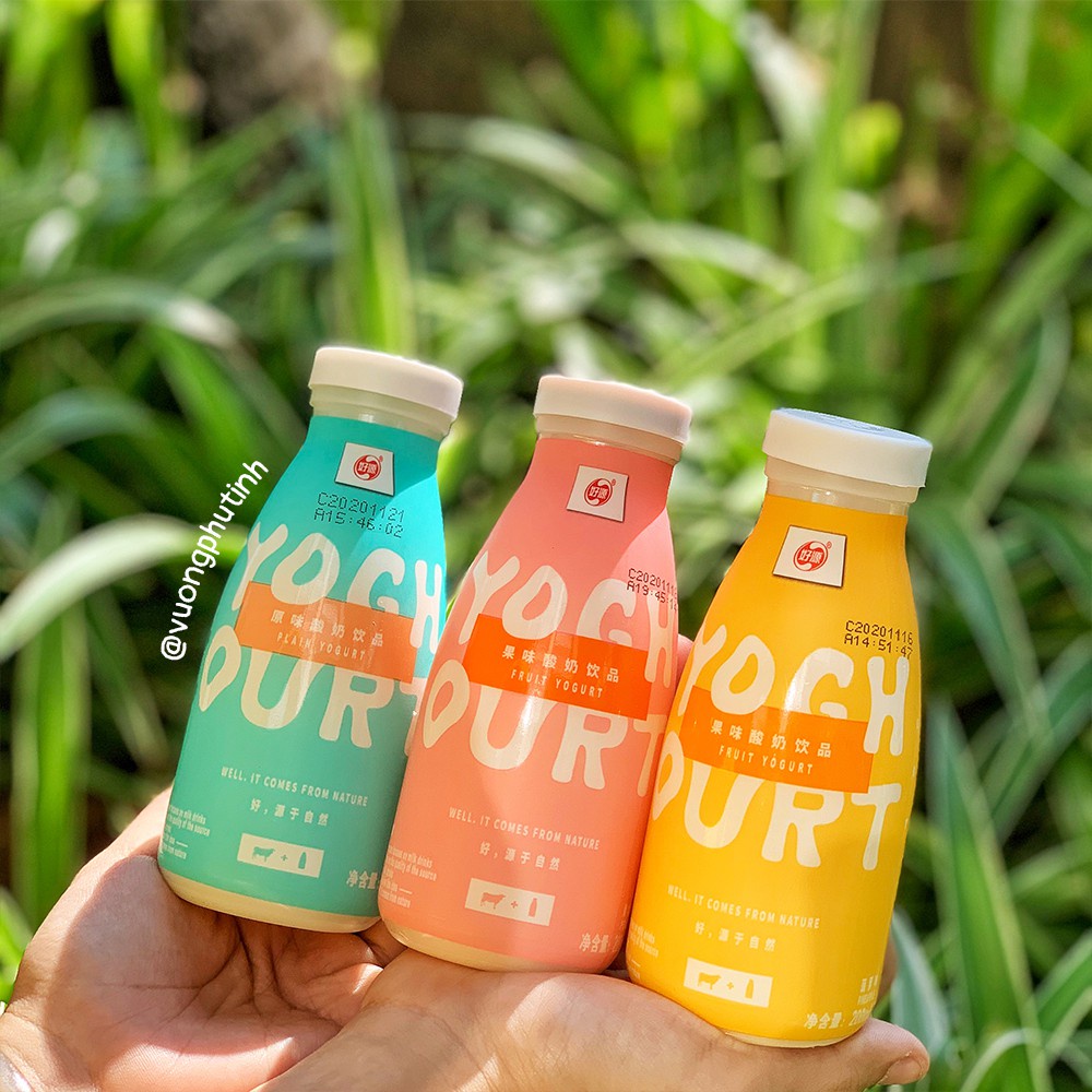 SỮA CHUA HOA QUẢ - Hãng Hảo Nguyên | Vương Phủ Tỉnh