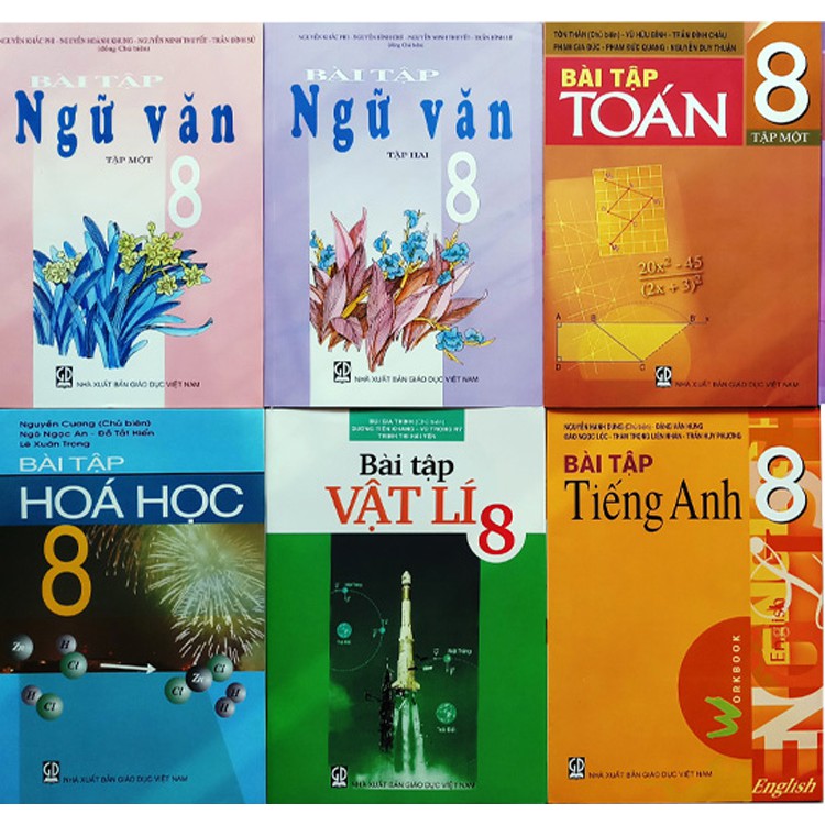 Bộ sách giáo khoa lớp 8 (20 quyển)