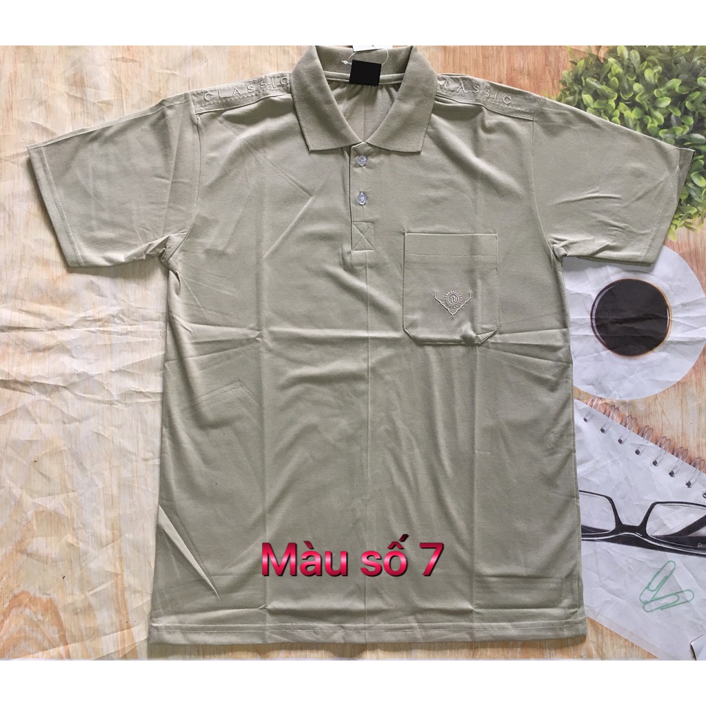 ÁO THUN NAM TRUNG NIÊN CÓ CỔ AOVI | BigBuy360 - bigbuy360.vn