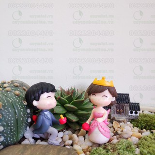 Phụ kiện trang trí tiểu cảnh Terrarium - Cặp đôi cô dâu chú rể cầu hôn