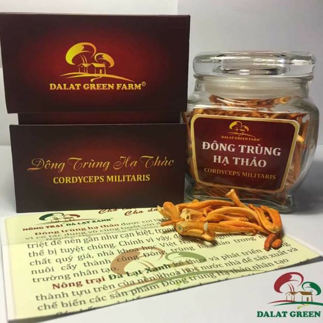 15gr đông trùng hạ thảo khô