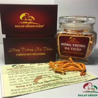 15gr đông trùng hạ thảo khô