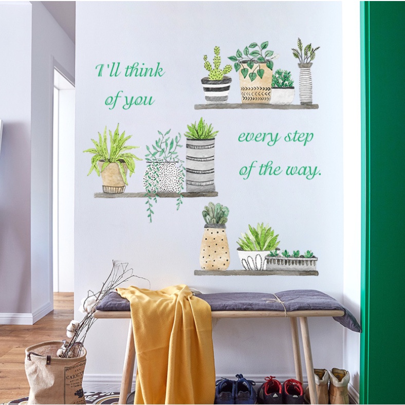 Decal trang trí tường - Xương Rồng Nhiều mẫu khác nhau