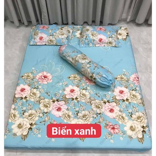 GA GỐI COTTON ( 4 MÓN - 1 ga chun bọc nệm + 2 vỏ gối )