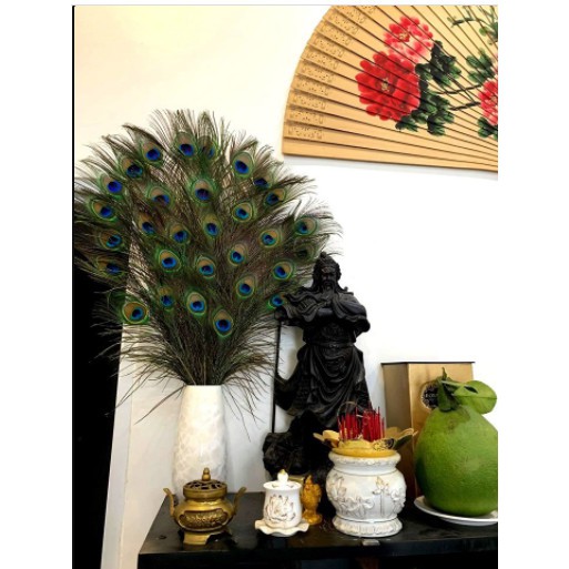 Lông công trang trí phong thủy thu hút tài lộc may mắn sung túc cho gia đình chủ nhân dài 90-120cm | BigBuy360 - bigbuy360.vn