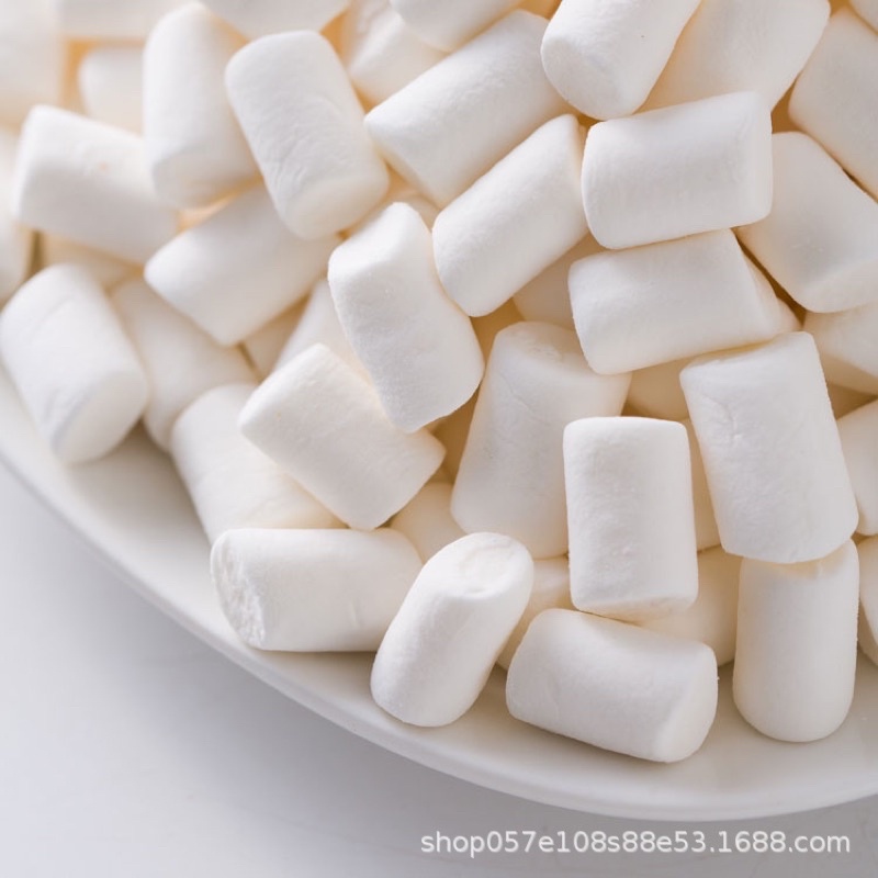 [HÀNG MỚI VỀ] Kẹo Marshmallow Erko trắng 500g