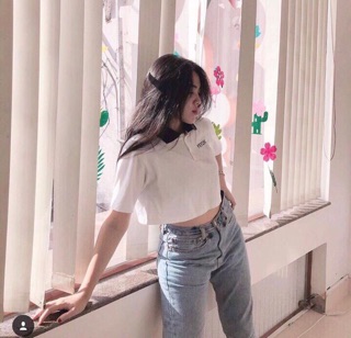 ÁO CROP CỔ BẺ ( kèm hình thạt )