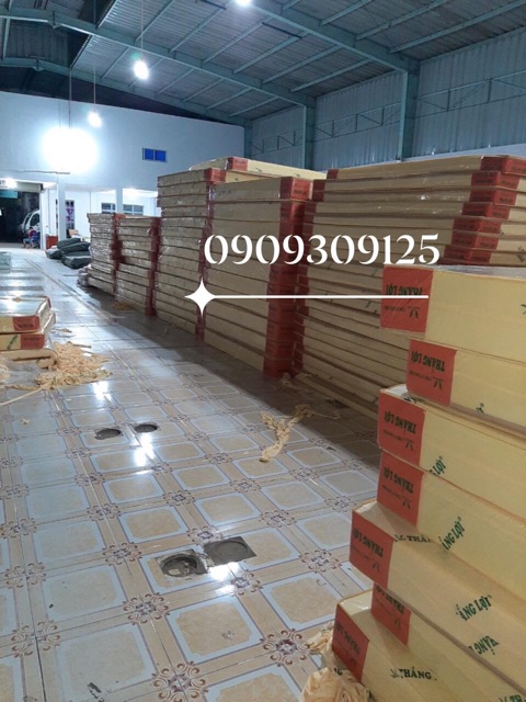 Nệm cao su non Thắng Lợi 2mx2m4 chính hãng (free ship)