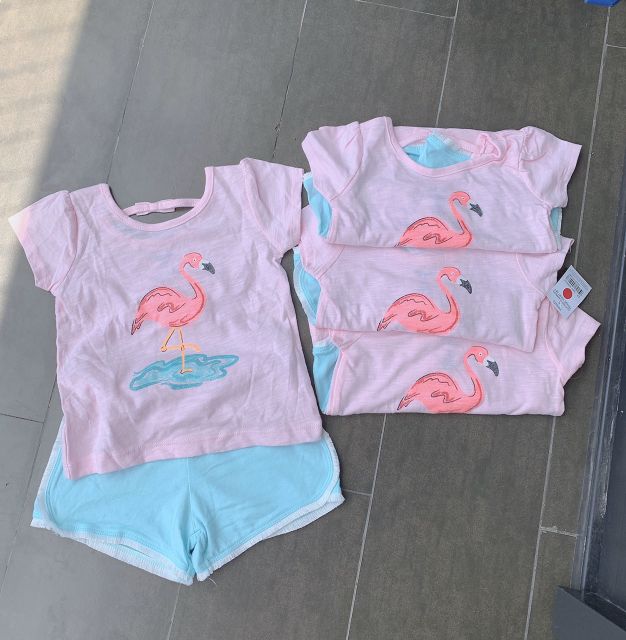 Set bộ Hồng Hạc