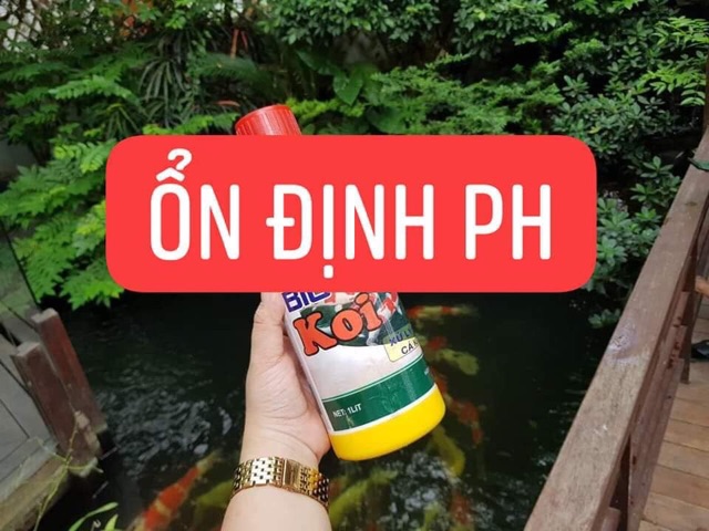 Men Vi Sinh Cá Cảnh  Bio fish Koi