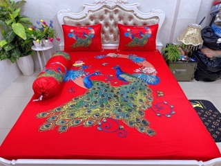 Drap thun lạnh 5D cao cấp mẫu công ( 5 màu)
