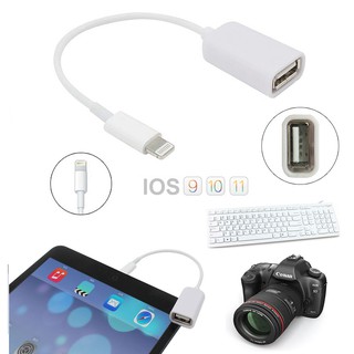 Cáp Lightning USB OTG Sang Dành Cho iPhone, iPad